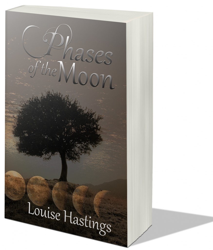 Phases of the Moon 3D Final