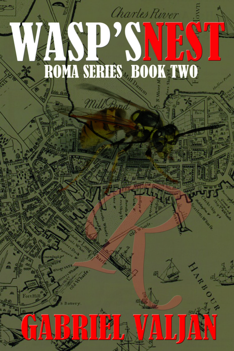 Wasp's Nest (Roma Series)